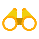 vision